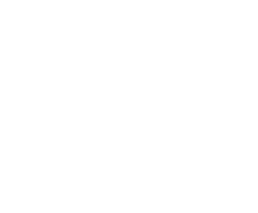 Chiropractor PPC Agency